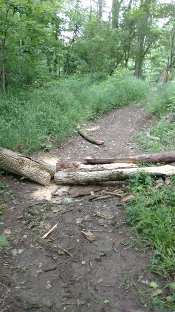 IMG_20180613_095637126