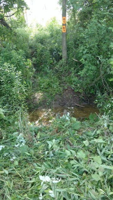 IMG_20180613_103613211