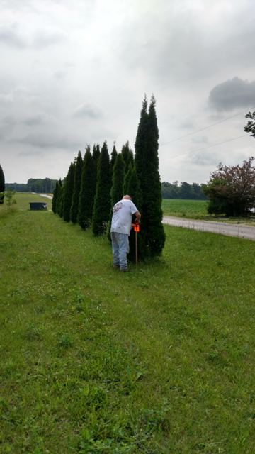 IMG_20180613_110842811_HDR