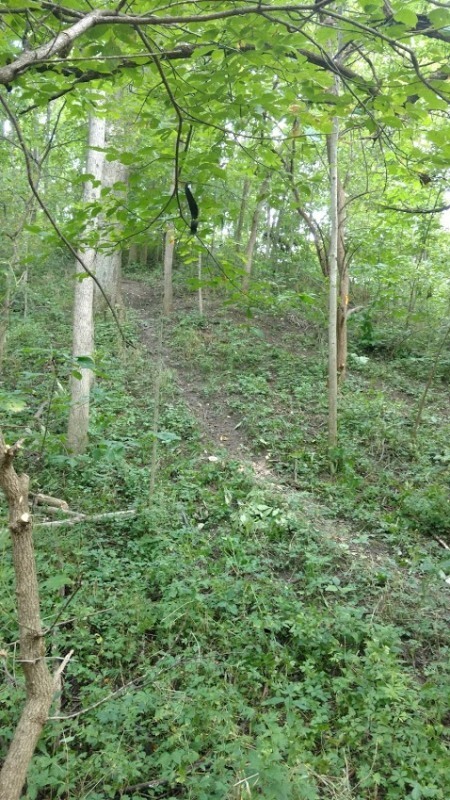 IMG_20180830_112218142