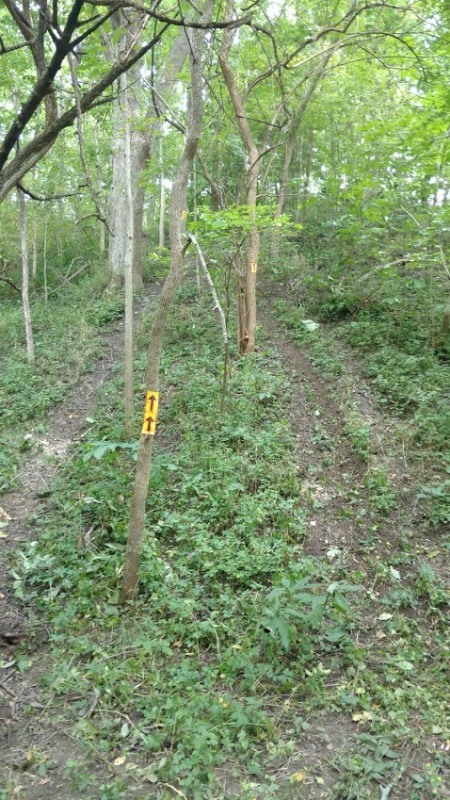 IMG_20180830_112228749