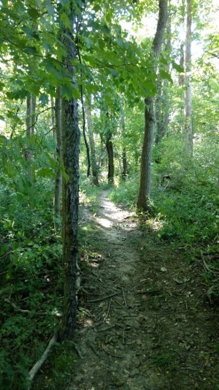 IMG_20180905_103234803