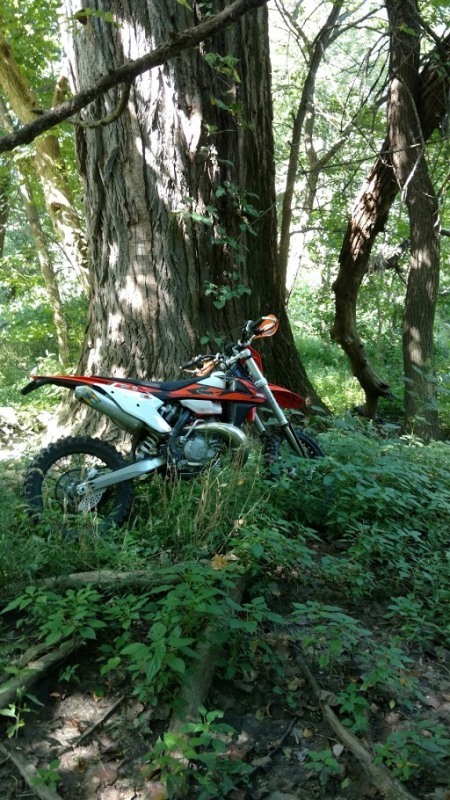 IMG_20180905_115240334