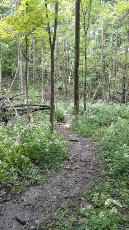 IMG_20180912_100819637