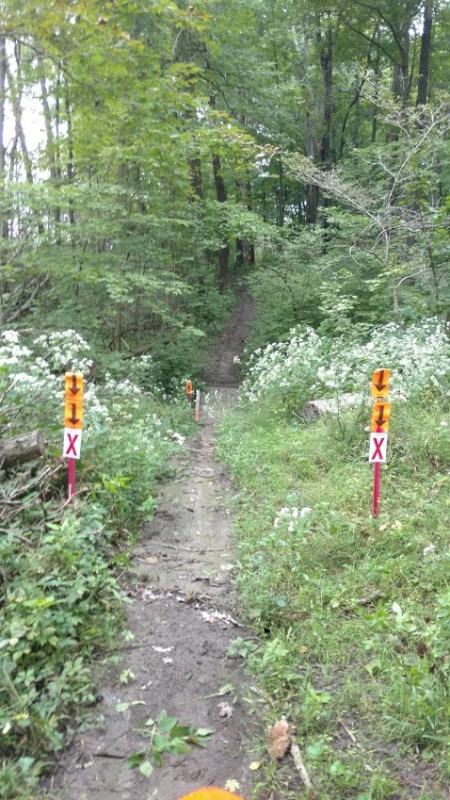 IMG_20180912_101137287