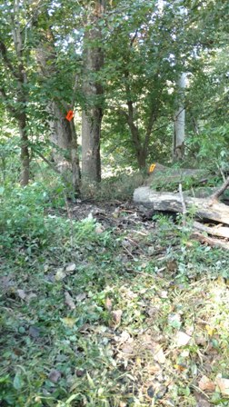 IMG_20180919_094511161